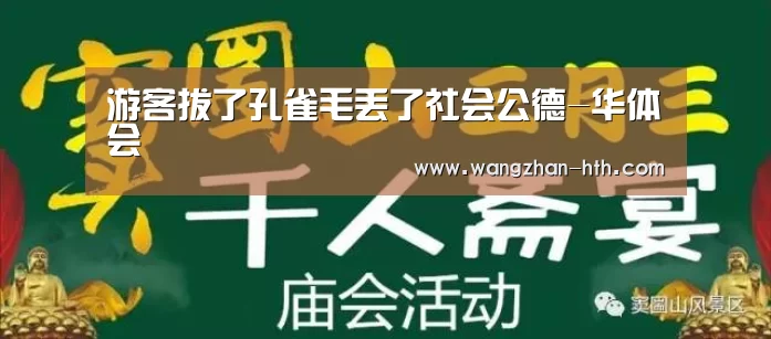 华体会
