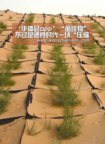 ‘华体会app’“虽现狗”不过是速食时代一块“压缩饼干”(图1) 华体会体育官方平台